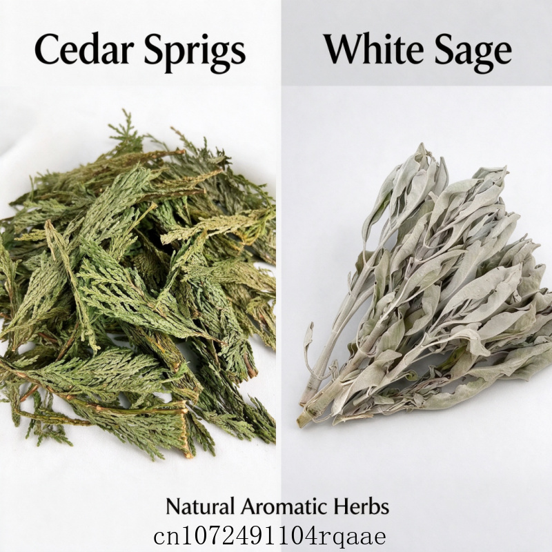 Dried White Sage Sprigs & Ceda - Dried Herbs ulasan dan harga