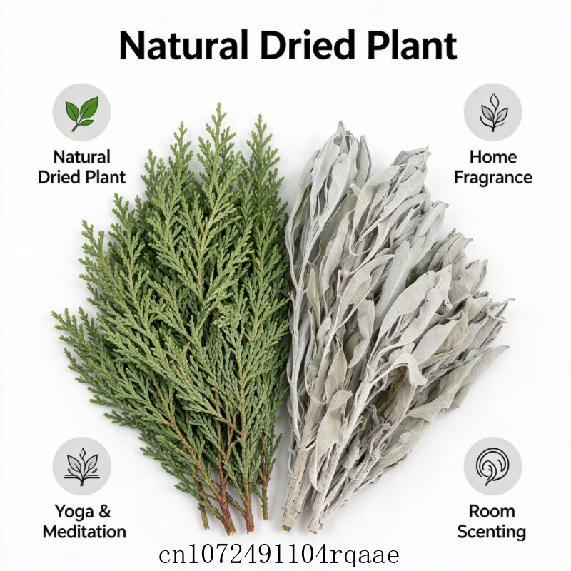 Dried White Sage Sprigs & Ceda - Dried Herbs ulasan dan harga