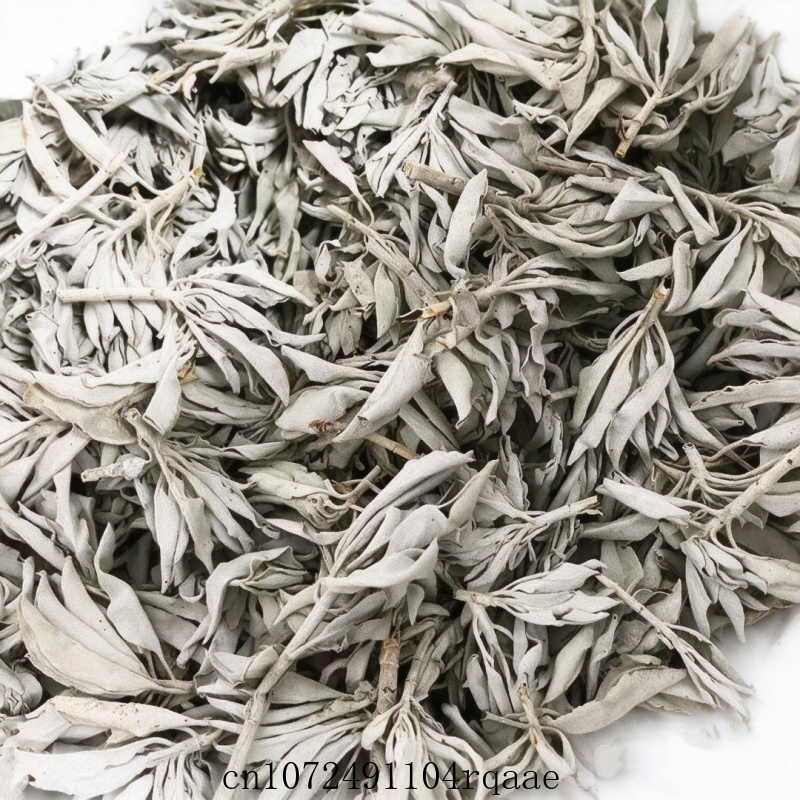 Dried White Sage Sprigs & Ceda - Dried Herbs ulasan dan harga