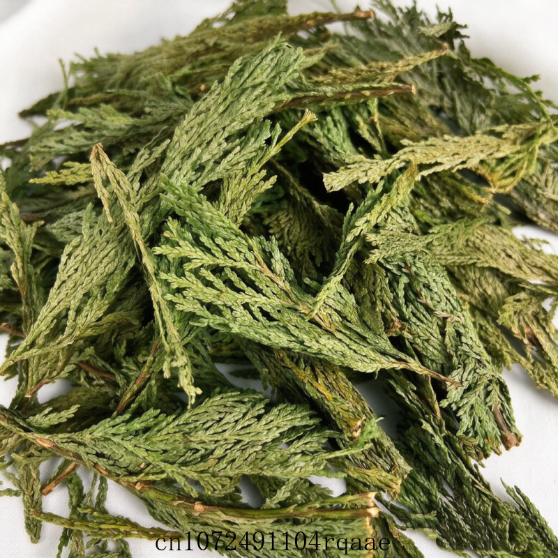 Dried White Sage Sprigs & Ceda - Dried Herbs ulasan dan harga