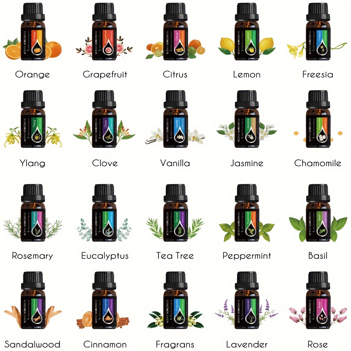 20Pcs/Set Classic Brand Essent - Lavender Oil ulasan dan harga