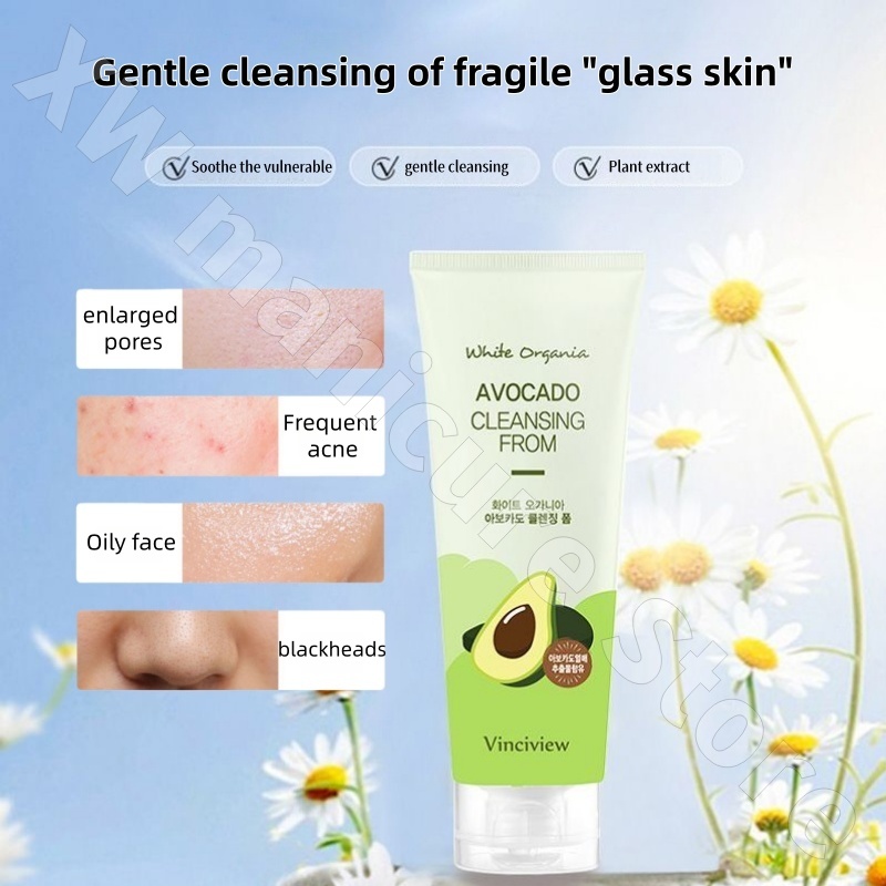 Korean Chamomile Tea Tree Avoc - Chamomile Tea ulasan dan harga